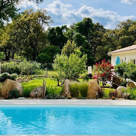 Mini Villa Pascal Paoli Avec Piscine - Proche Mer Prunelli-di-Fiumorbo Ngoại thất bức ảnh