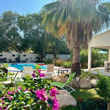 Mini Villa Pascal Paoli Avec Piscine - Proche Mer Prunelli-di-Fiumorbo Ngoại thất bức ảnh