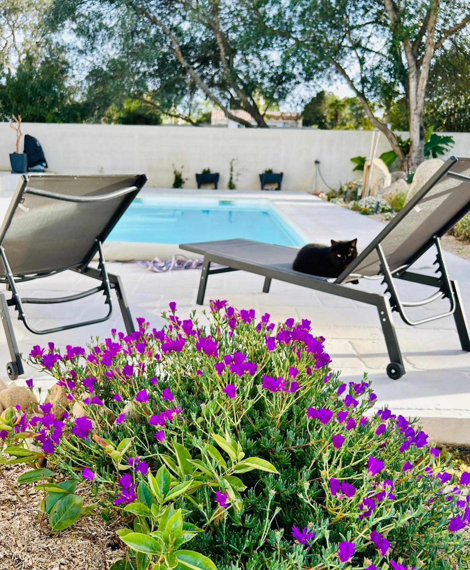 Mini Villa Pascal Paoli Avec Piscine - Proche Mer Prunelli-di-Fiumorbo Ngoại thất bức ảnh